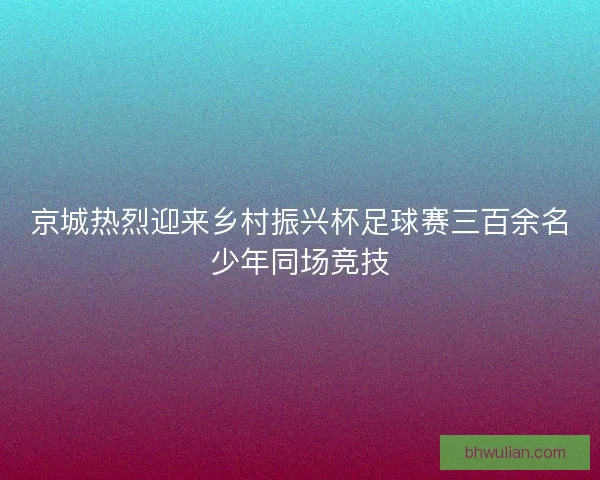 京城热烈迎来乡村振兴杯足球赛三百余名少年同场竞技