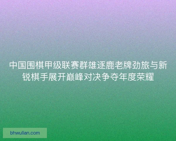 中国围棋甲级联赛群雄逐鹿老牌劲旅与新锐棋手展开巅峰对决争夺年度荣耀
